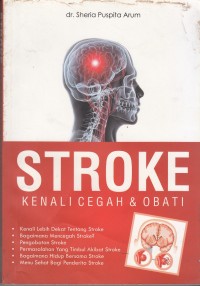 Image of Stroke Kenali Cegah Dan Obati