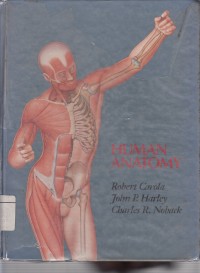 Image of Human Anatomy
